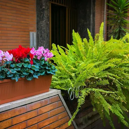 Stefi's House Pamphili Апартаменты